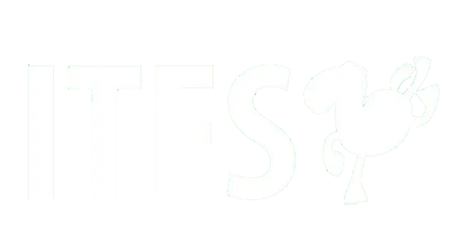 Stuttgart International Festival of Animated Film